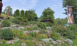 ...mit Liebe gestaltet ...mit Liebe gestaltet