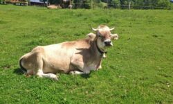 unsere Sophie unsere Sophie