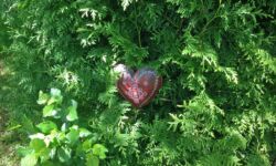 Ein herzliches Grüß Gott bei uns in Tiefenbach Ein herzliches Grüß Gott bei uns in Tiefenbach