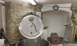 Hier entstehen Camembert, Frischkäse und Co. Hier entstehen Camembert, Frischkäse und Co.