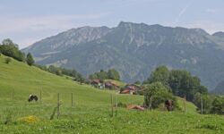 Ganz viel Platz und eine tolle Aussicht beim Erlebnisbauernhof Krötz in Sonthofen-Tiefenbach