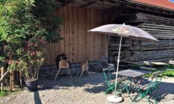 Die Kinder toben, die Erwachsenen sitzen gemütlich unterm Sonnenschirm